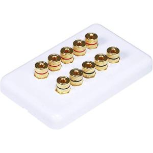Moonrise Monoprice 103326 Banana Binding Post Two-Piece Inset Coupler Wall Plate for 4 Speakers, White(5 Speaker)